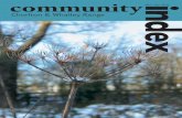 Community Index Chorlton Dec 2010