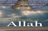 Gain Sense of Allah - (English)