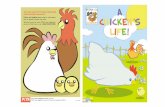 A Chicken's Life (PETA Comic)