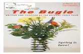 The Bugle #22