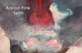 Aaron Fink - 'Splits