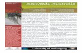 Seaweeds Australia Newsletter