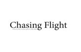 Chasing Flight