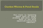 Garden worms and snails