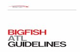 Bigfish brand guidleines
