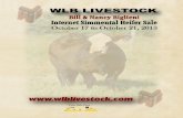 WLB Livestock Internet Simmental Heifer Sale
