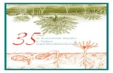 35 Years of Environmental Education in Thailand