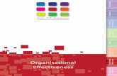 Organisational Effectiveness