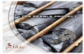 Pebble Project Facts