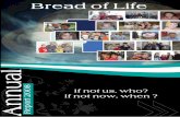 Bread of Life annual report 2008