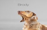 Brody Album 2