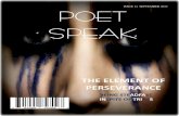 Poet Speak Magazine Issue 14