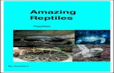 Amazing Reptiles