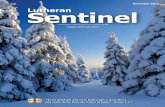 Lutheran Sentinel November 2012