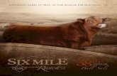 Six Mile Ranch 38th Annual Red & Black Angus Bull Sale