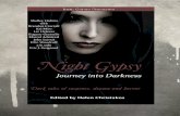 Night Gypsy: Journey into Darkness Synopses