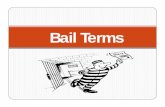 228 BAIL Bonds Terms