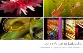 John Antoine Labadie Artwork: 1998-1999 Vol. 2