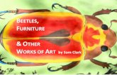 Beetles, Furniture & Other Works of Art by Sam Clark