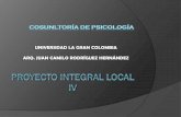 proyecto integral local