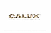Calux Catalogo 2013 | Sistema Modulare a Pellet SINTESI EVO