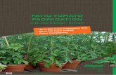 Patio Tomato - with The Ellepot System