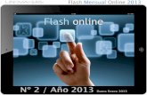 Flash Internet Nº2/2013