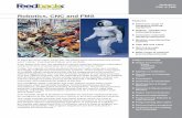 Catálogo Robótica de Feedback