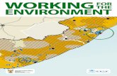 Working for the Environment - Examining environmental challenges in South Africa