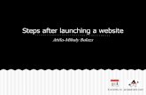 Steps after launching a website