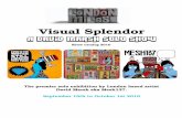 Visual Splendor Exhibition Catalog