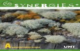 Synergies - Spring 2009 Issue