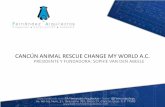 Cancun Animal Rescue