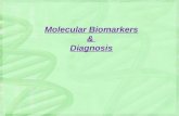 Conference on Molecular Biomarkers & Diagnosis