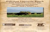 34th annual coleman limousin ranch production sale