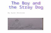 The Boy and The Stray Dog