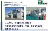 ICAM Commerciale