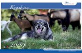 Calendar Karst Shepherds 2009