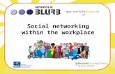 Social networking with the workplace