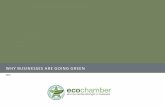 EcoChamber: Corporate Greening Analysis