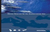 Marine reserves for the Mediterranean Sea