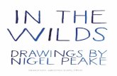 In the Wilds: Drawings by Nigel Peake
