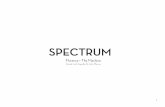 Manual Spectrum- Florence + The Machine