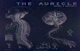 The Auricle Vol 3 Edn 1