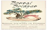 Bonsai Bridges