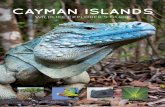 CAYMAN ISLANDS - WILDLIFE EXPLORER’S GUIDE