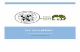 Skyvets report nov jan2013