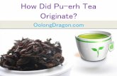 How Did Pu-erh Tea Originate?