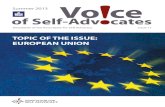 Voice of Self-Advocates Summer 2013
