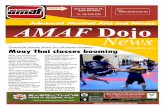 AMAF Dojo News - November 2013